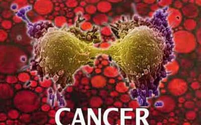 Cancer to be A Major Disease in India: Change in Lifestyle Main Culprit